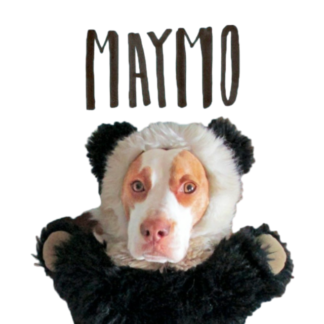 Maymo YouTube Dog